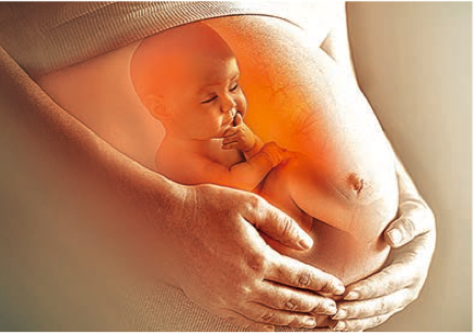 Krok za krokem, jak dorůstá plod v umělé děloze