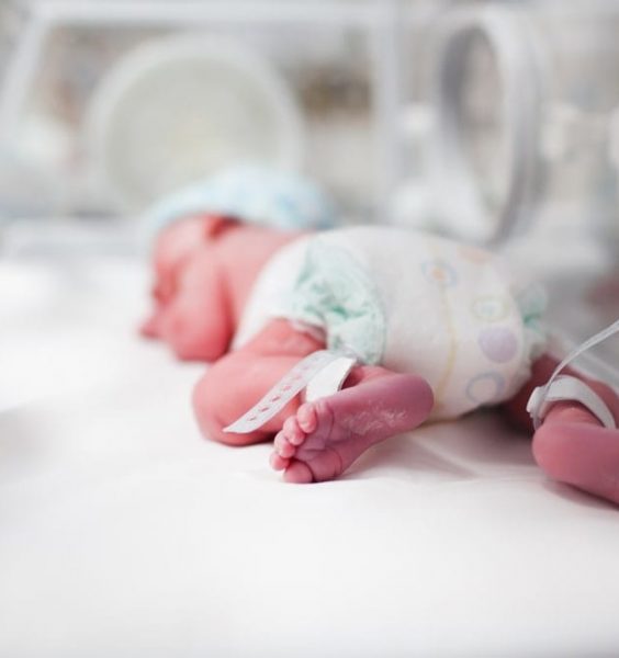 Předčasně narozené děti – fakta